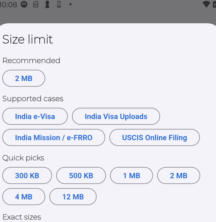 PDF Ready size-selection screen showing an active target and quick exact-size choices