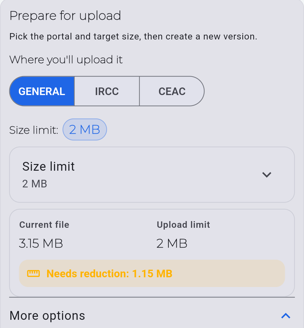 PDF Ready GENERAL screen focused on the portal tabs, active 2 MB target, and size estimate before opening more options