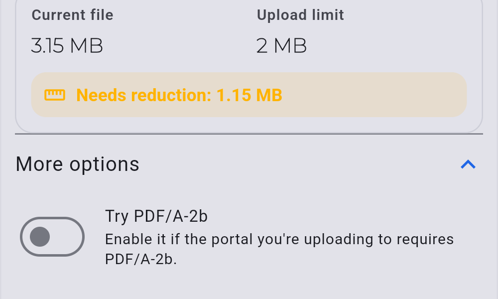 Prepare more-options panel with PDF/A-2b and related secondary toggles