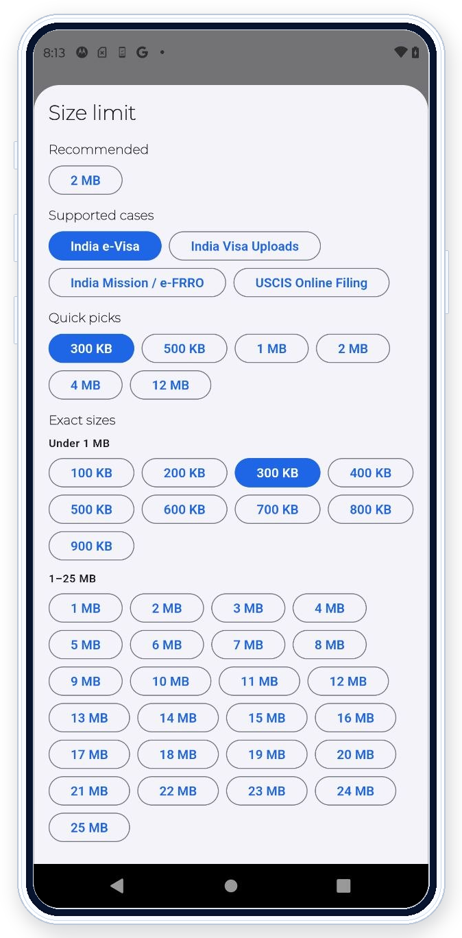 PDF Ready size selector showing India e-Visa and the 300 KB target